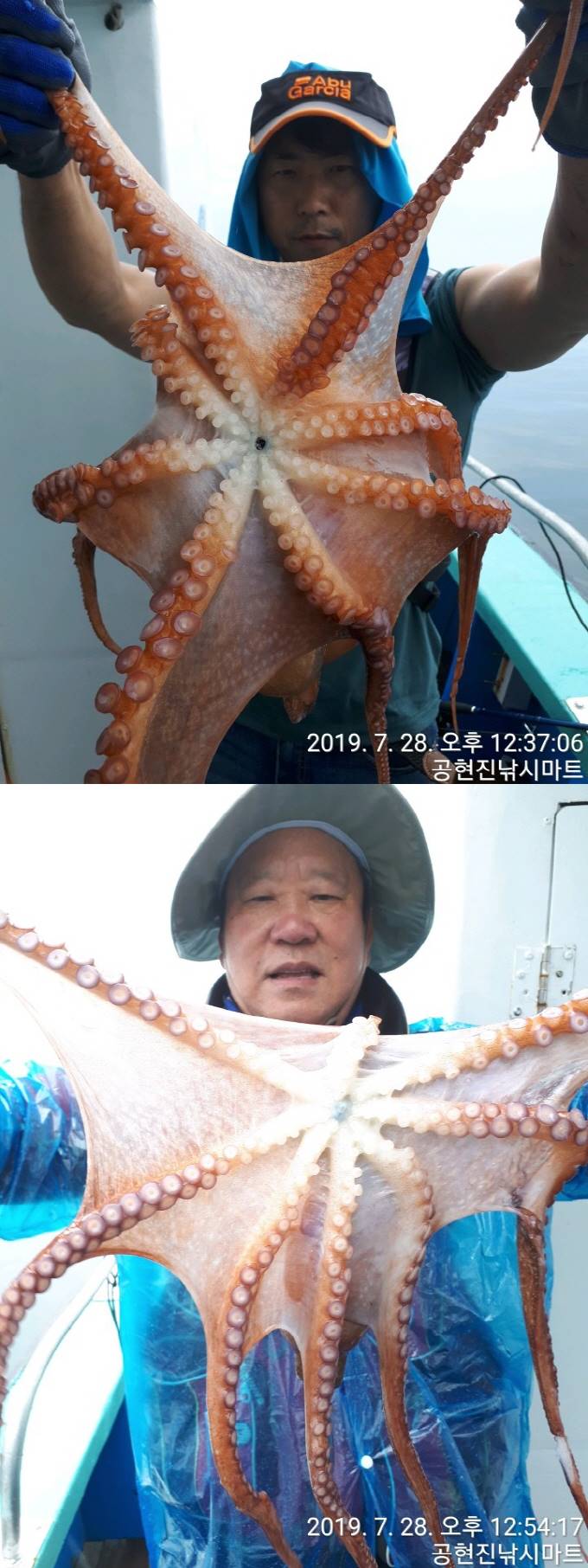 22인승 돌핀마린호 / 대왕문어 대박입니다~