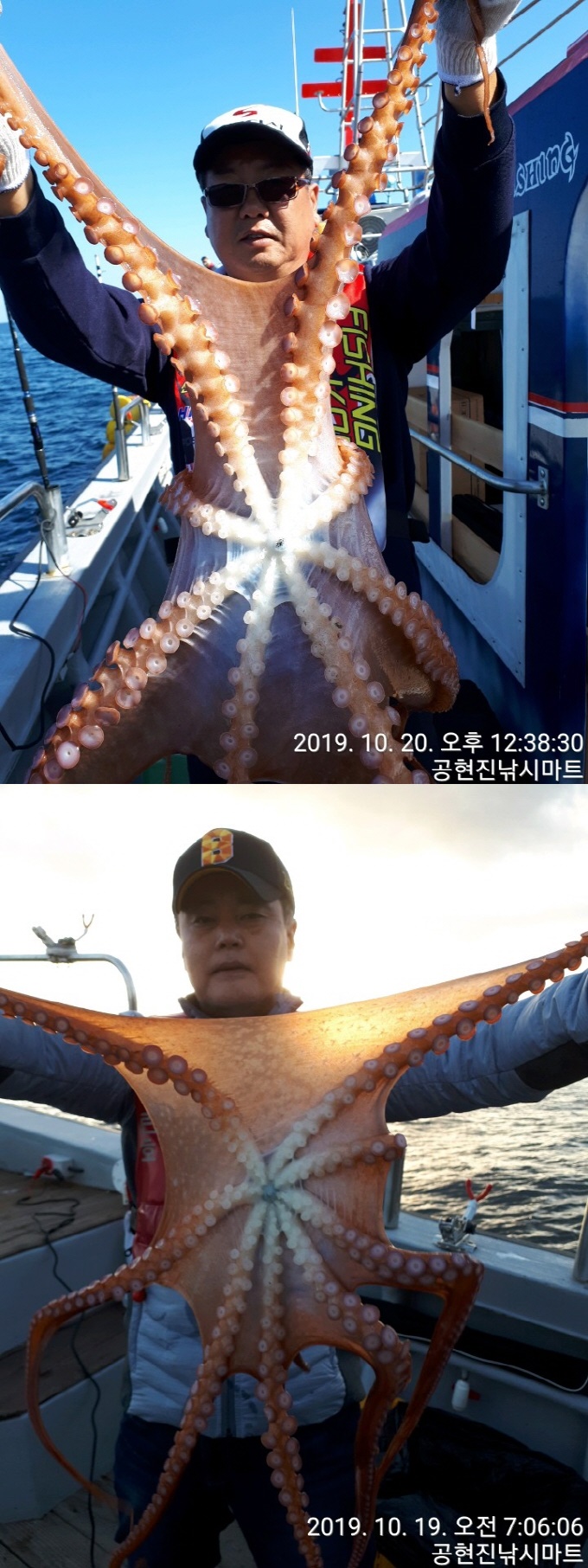 22인승 돌핀호 / 대왕문어  대박!! (어제자 조황)