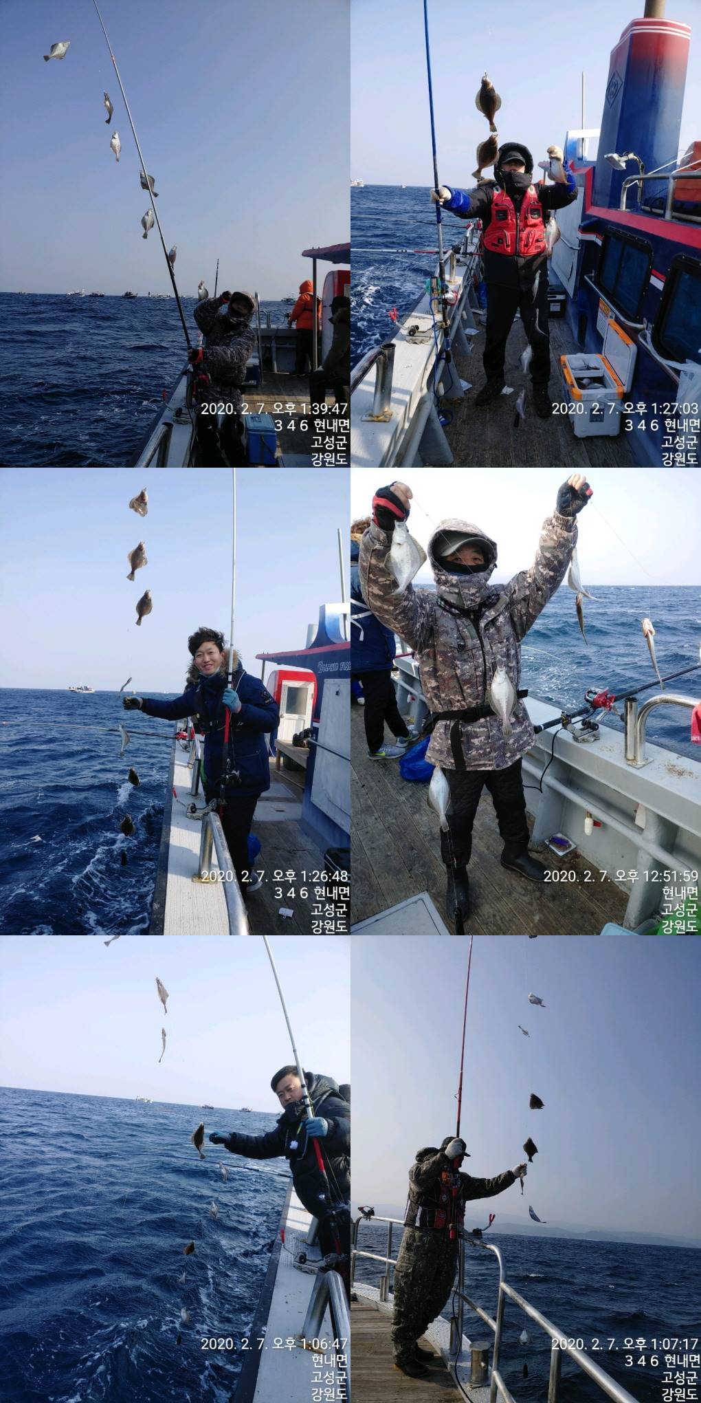 어제(7일) 22인승 돌핀호 어구가자미 대박~조황입니다.