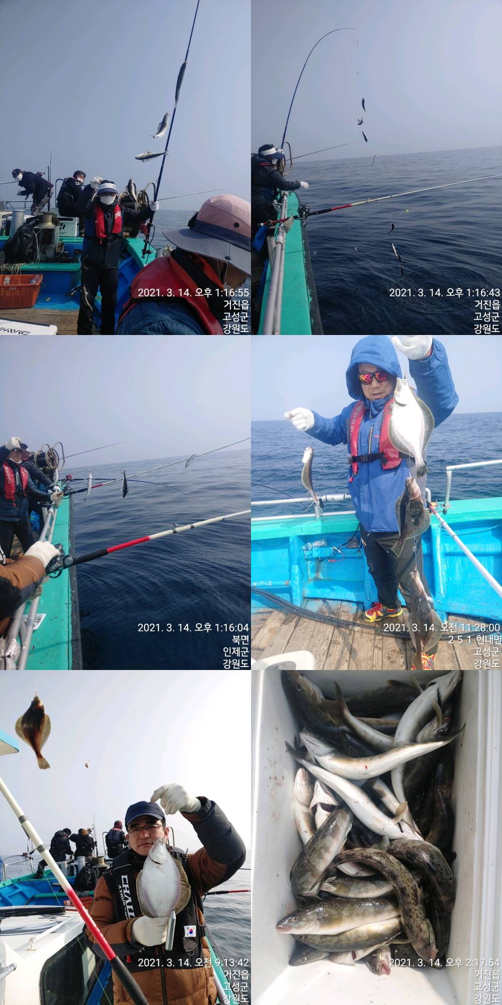 22인승 돌핀마린호 / 어구가자미,임연수어 조황입니다.