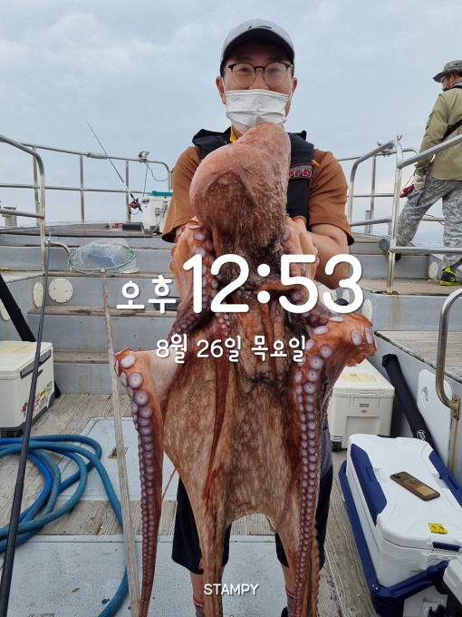 22인승 돌핀호 / 대왕문어 대박 조황입니다~